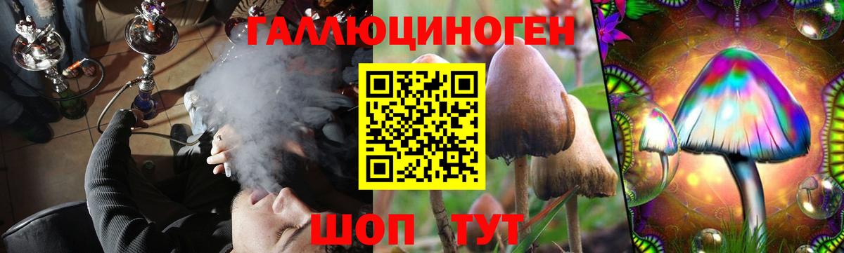 Сорочинск  Галлюциногенные грибы Psilocybe  Вход с VPN 